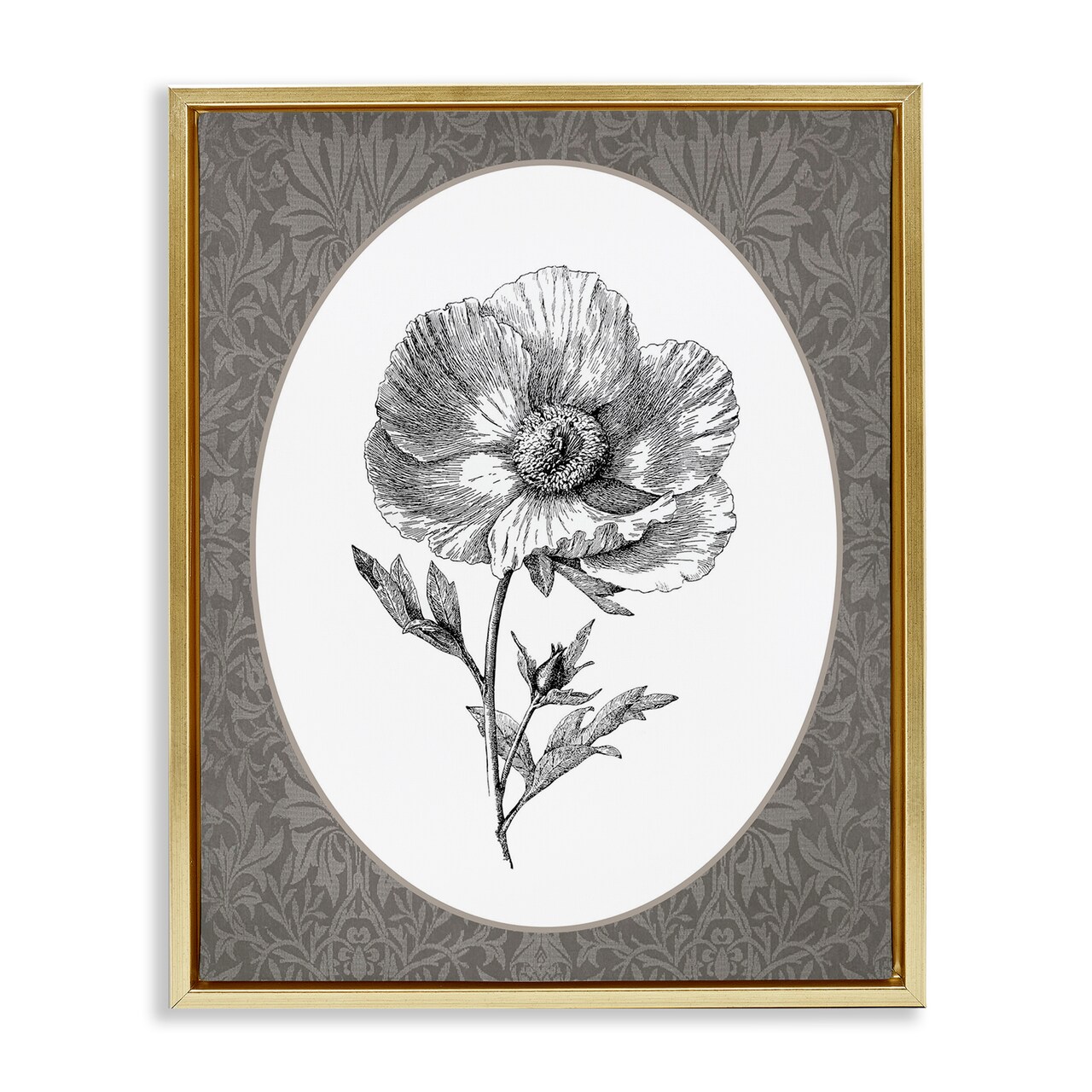 Stupell Industries Anemone Sprig Vignette Floating Frame By Lettered and Lined